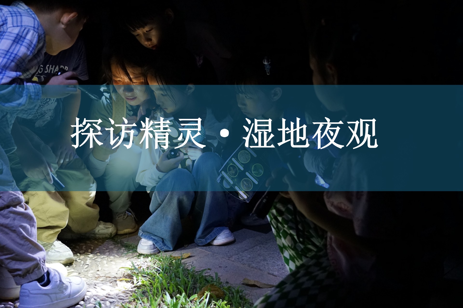 通栏图片